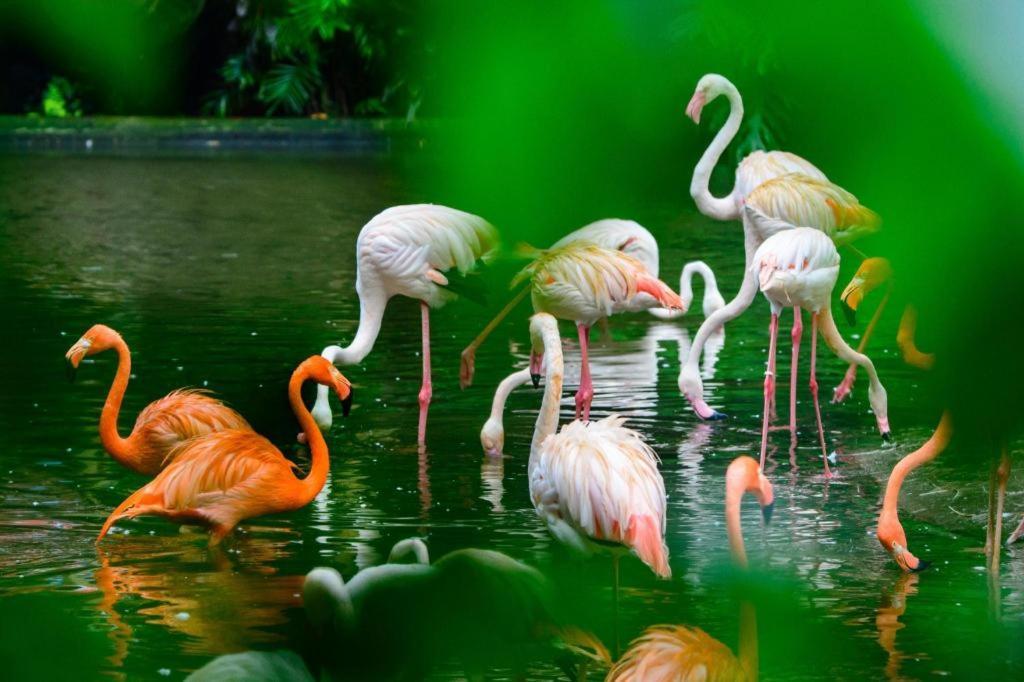 Wings Hotel Guangzhou Dış mekan fotoğraf